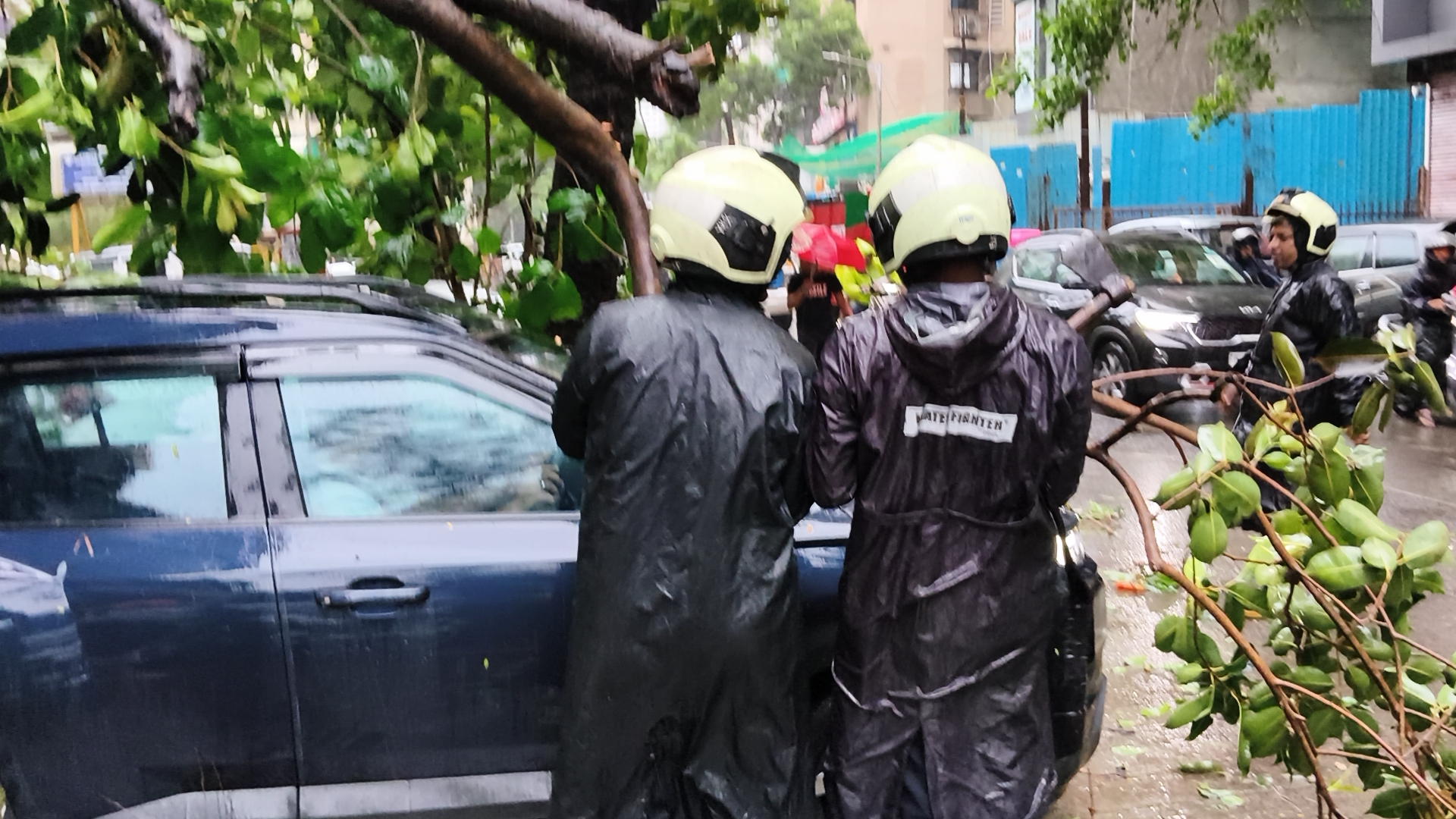 Tree crash halts traffic