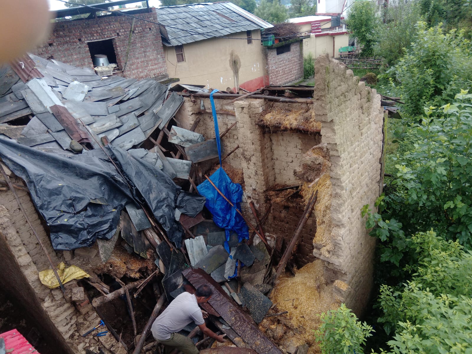 Cowshed Collapses Due to Heavy Rain; Major Mishap Averted