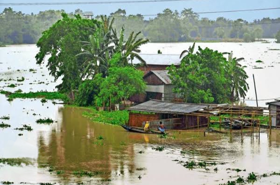 Sivasagar and Charaideo Among Worst-Hit as Assam Floods Affect Over 6.63 Lakh People: