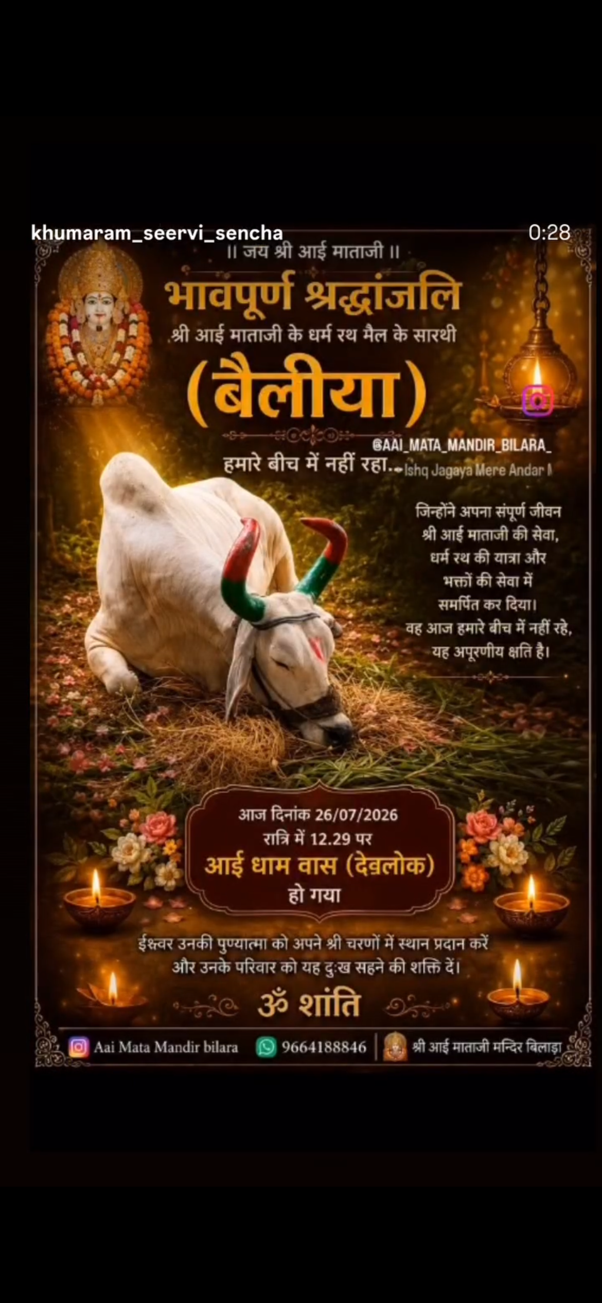श्री आई माताजी के धर्म रथ भैल के सारथी (बैलीया) का देवलोक गमन, बिलाड़ा धाम में शोक की लहर