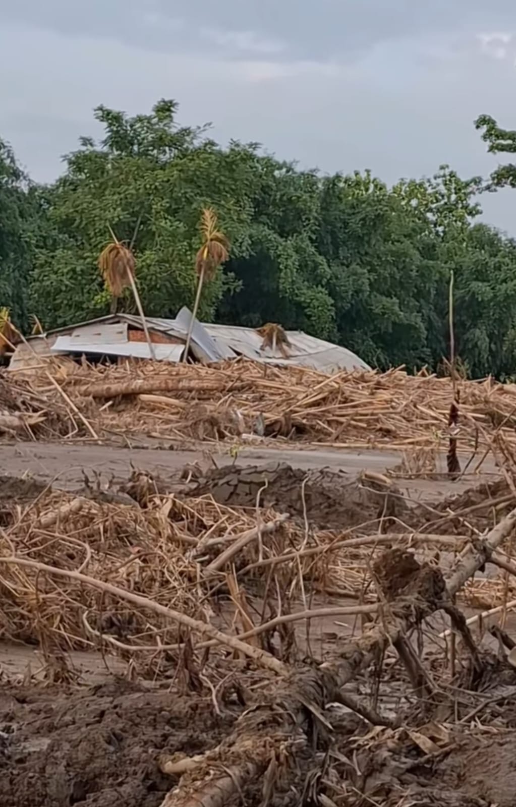 असम बाढ़ बुलेटिन: तबाही के बीच 80 लोगों की मौत