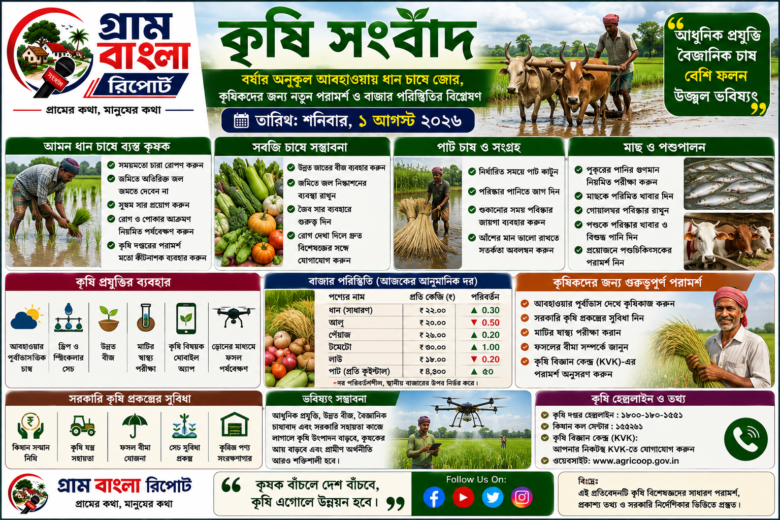 বর্ষার অনুকূল আবহাওয়ায় ধান চাষে জোর, কৃষকদের জন্য নতুন পরামর্শ ও বাজার পরিস্থিতির বিশ্লেষণ