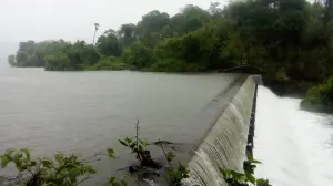 Mumbai Lake Water Stock Dips Slightly to 88.50% Despite Continued Rainfall