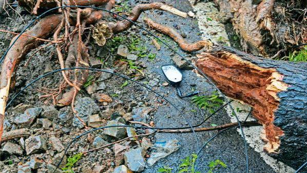 Delhi Rains Trigger House Collapses, Uproot Trees; Light Showers Likely to Continue