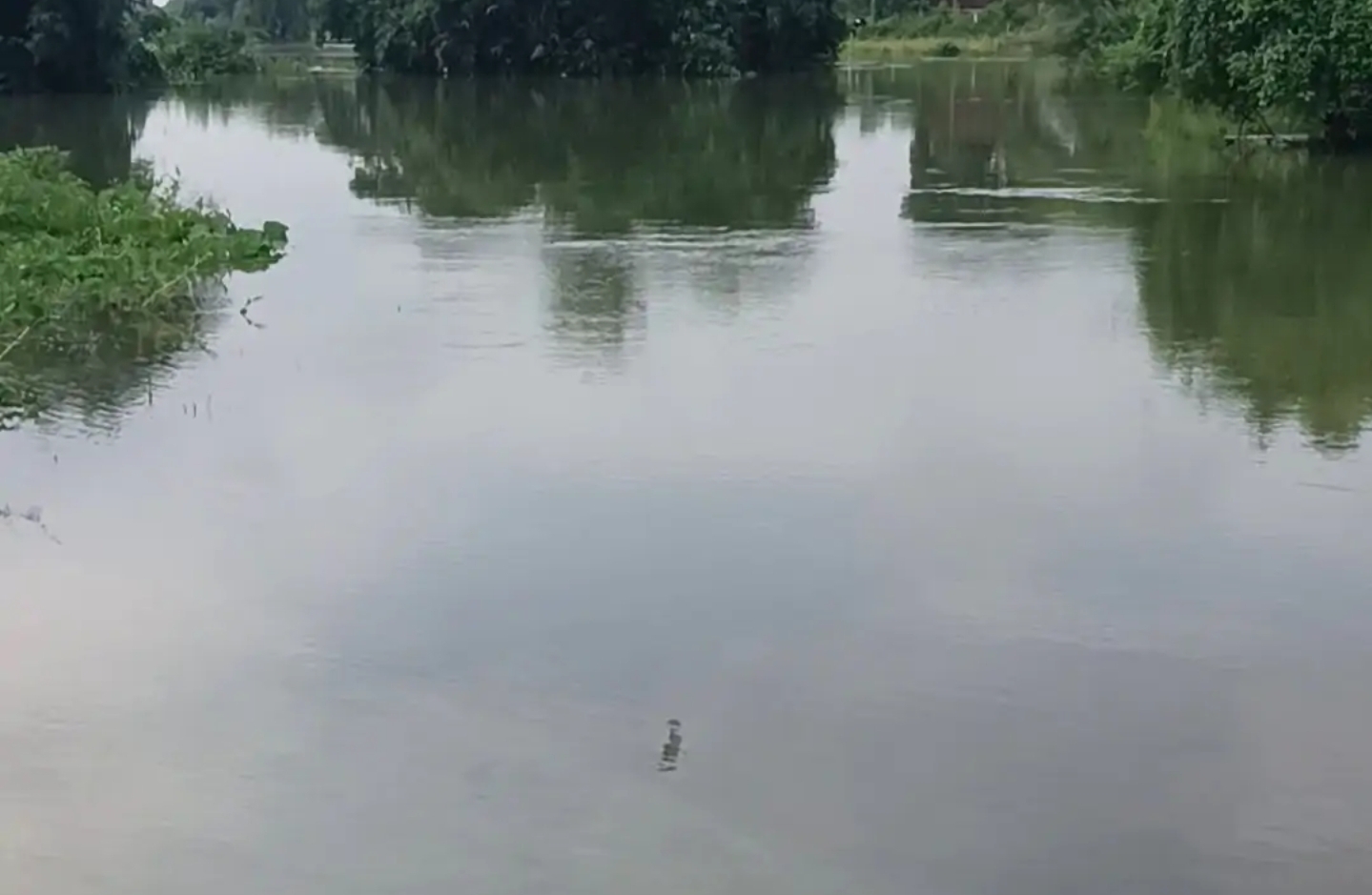 बेलन नदी मे  बाढ का पानी 3 दिन बाद भी: सैकड़ो एकड़ फसलें जलमग्न, एक दर्जन से ज्यादा गांवों में आवागमन ठप