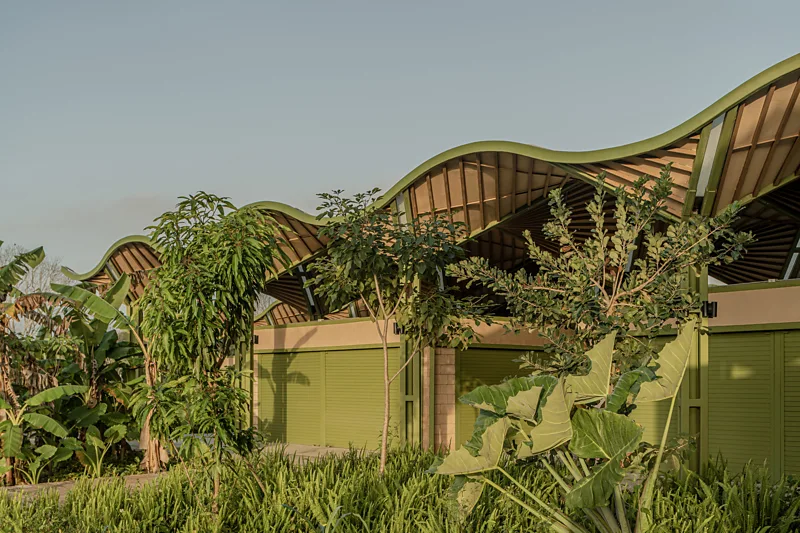 A Mexican forest haven to a Florida dream home: 10 stunning buildings 'blended' with nature
