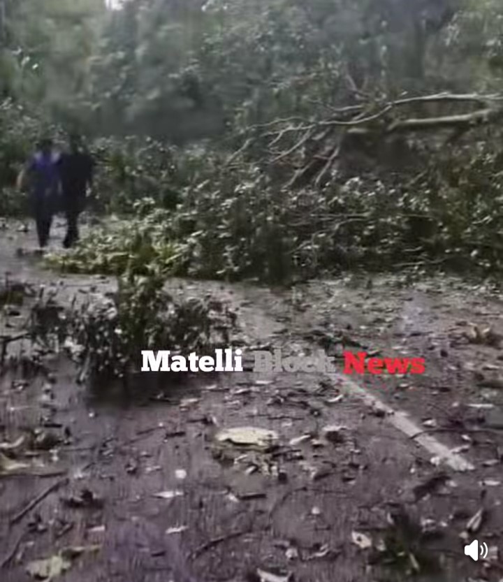 YESTERDAY TWO HOUR HAVEY RAIN JALPAIGURI SAROUNDING AREA BIG DAMAGE