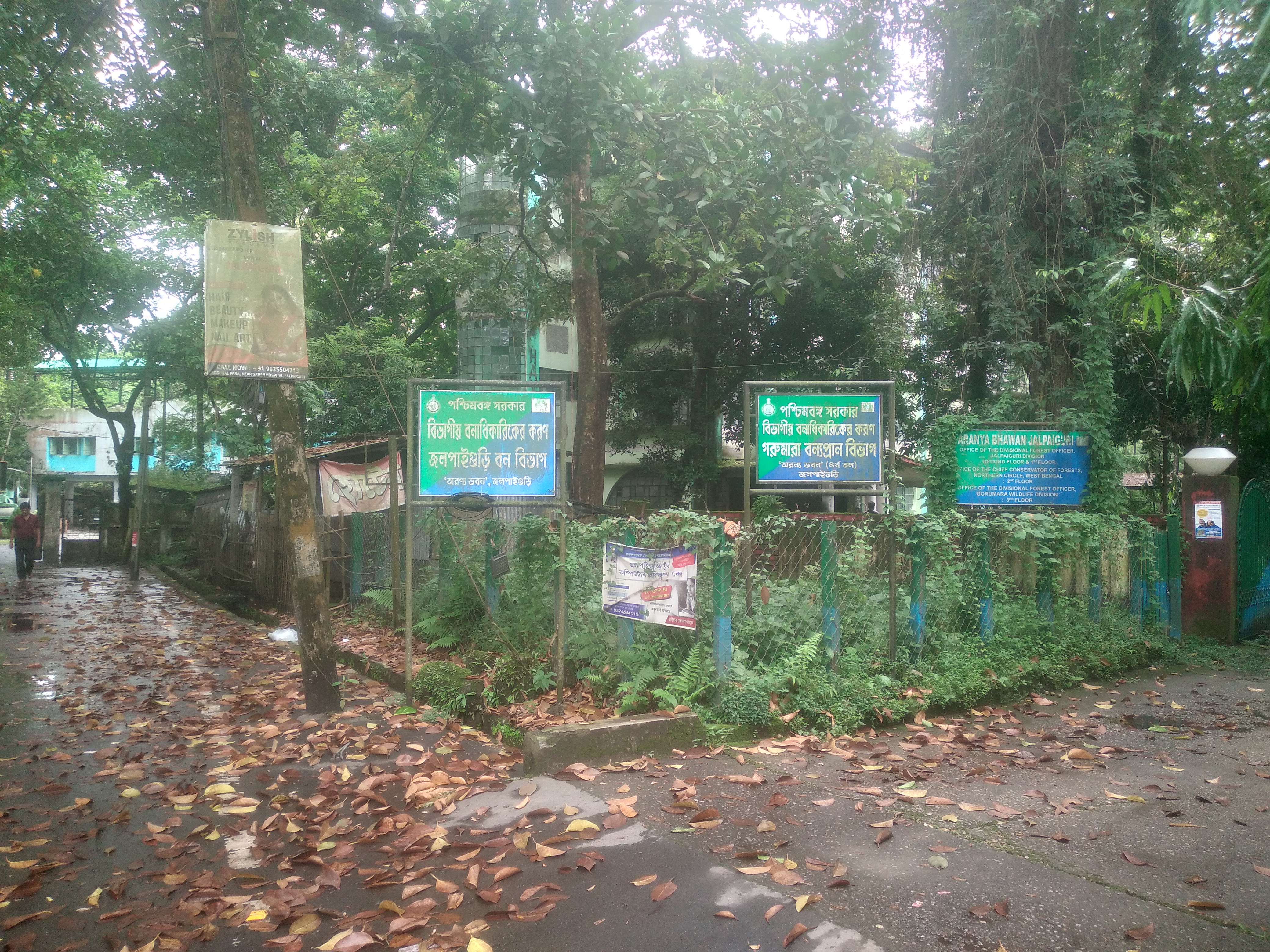 A VICTIM RISE ISSUE JALPAIGURI DFO OFFICE  AS LONELY CANCER PASENT SAFFAR PROBLEM THAT RESION