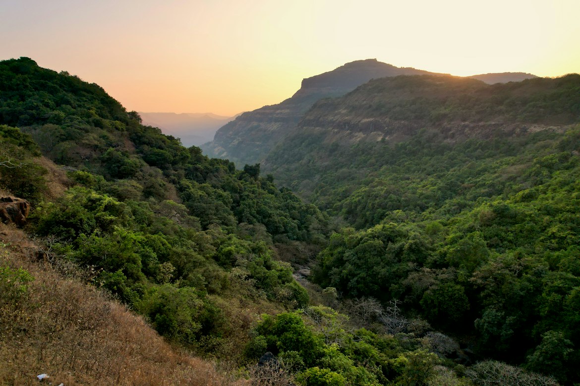 पर्यावरण-संवेदनशील क्षेत्र और बाघ गलियारे के विरोध ने सह्याद्रि संरक्षण पर उठाए सवाल