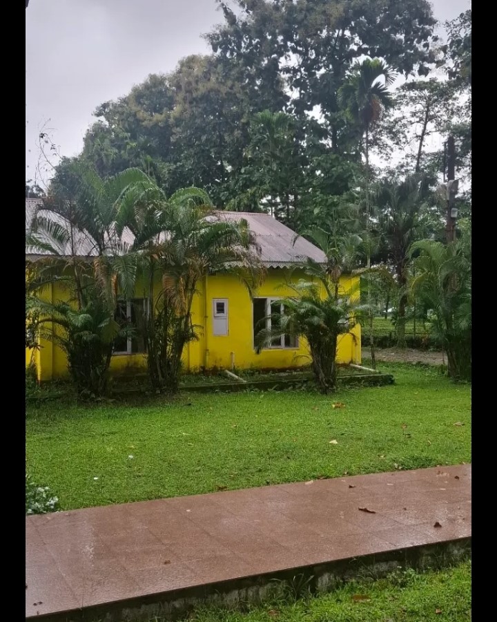 INPORTANT AREA LAND VACANT AND NOT MAINTAIN THEIR LAND INFRASTRUCTURE OR GARBAGE CLENING OWNER SIDE UNNASSASRY LAND  LEFT UNUSED  NEGLIGENCE  GOVT ISSUE BIG PALANTY  THEIR AGANEST