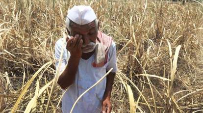 राज्यात तात्काळ दुष्काळ जाहीर करा; शरद पवारांचे मुख्यमंत्र्यांना पत्र