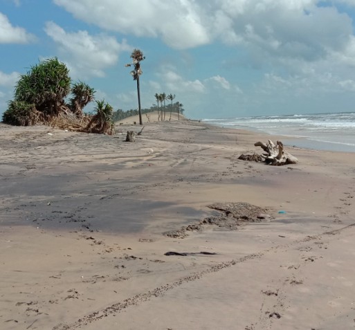 Sea Erosion Threat Looms Over Pentha and Satabhaya in kendrapada