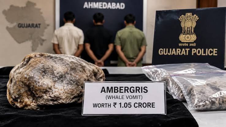 Ahmedabad Crime Branch Seizes Ambergris Worth ₹1.05 Crore, Three Arrested