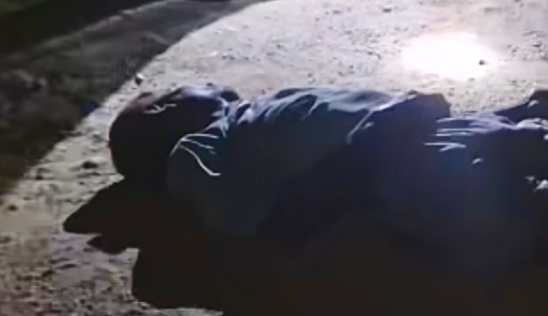 Death in Elephant Attack in Golaghat District