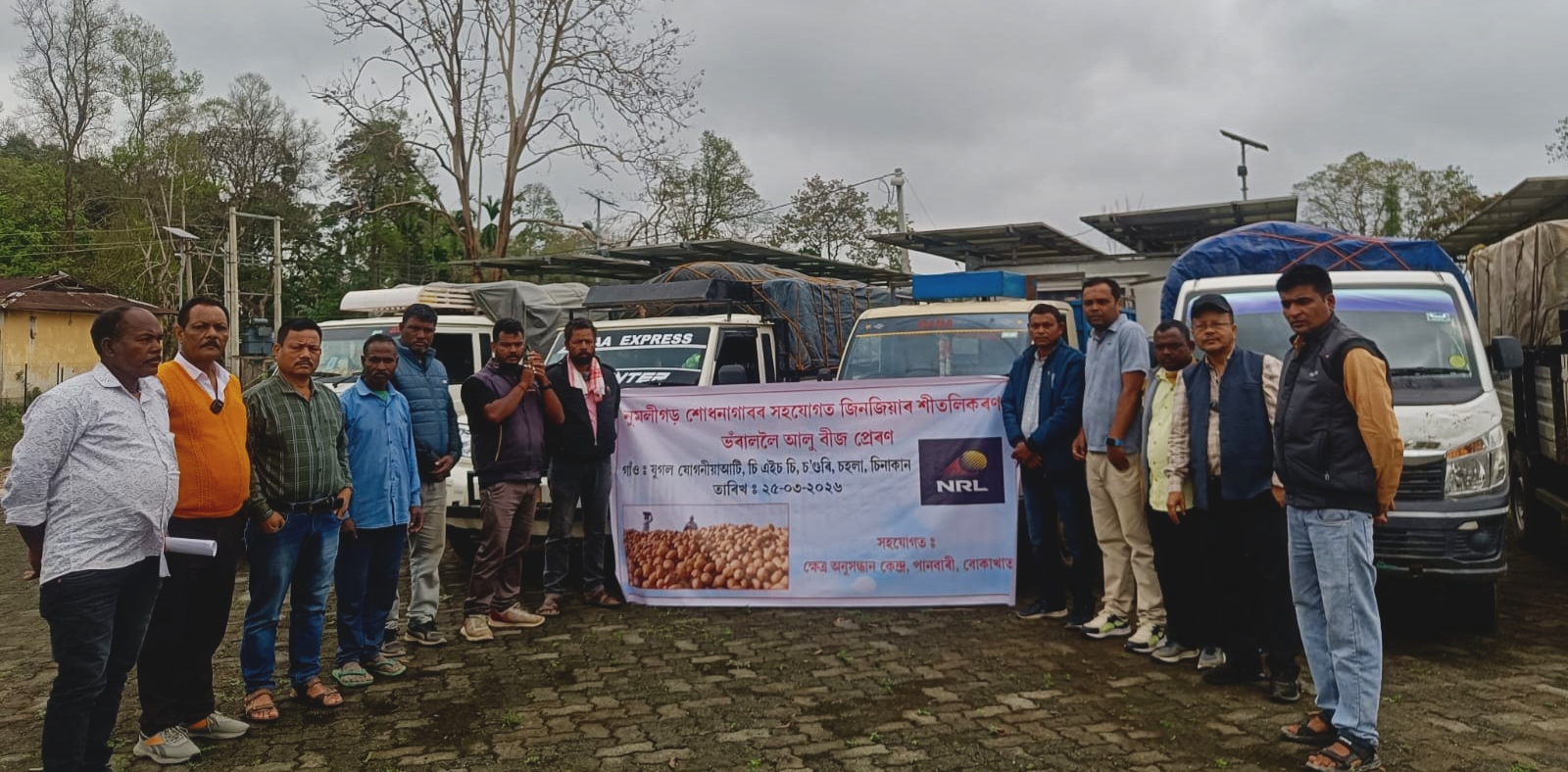 With support from NRL,Assam, farmers of Bokakhat send potatoes seeds to the cold storage at Jinjia, Biswanath District
