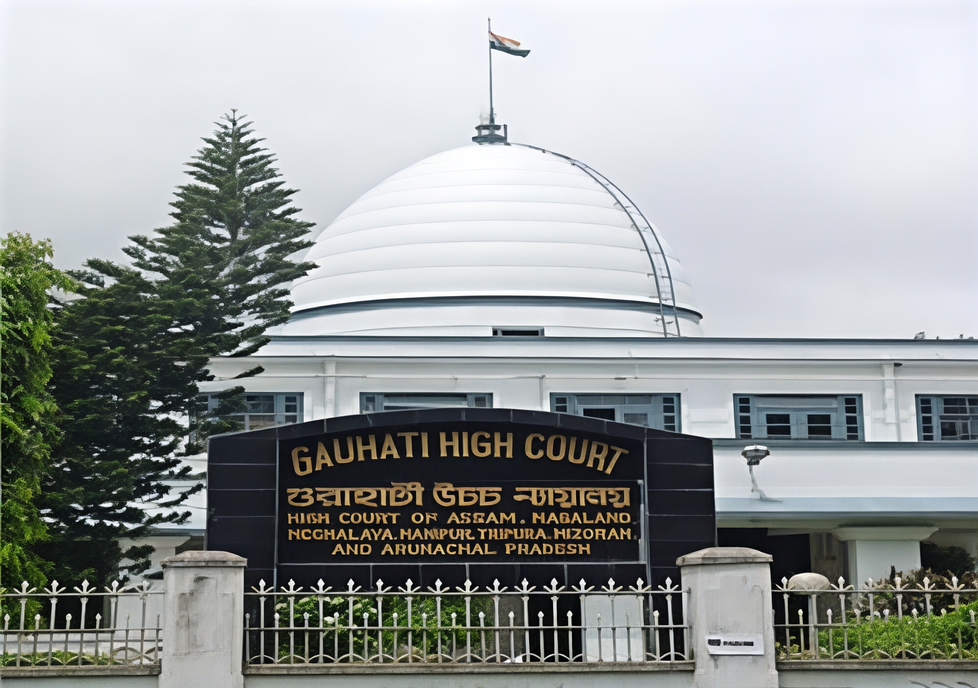 Guahati High Court Directs Assam Government to Stop Buffalo Fights