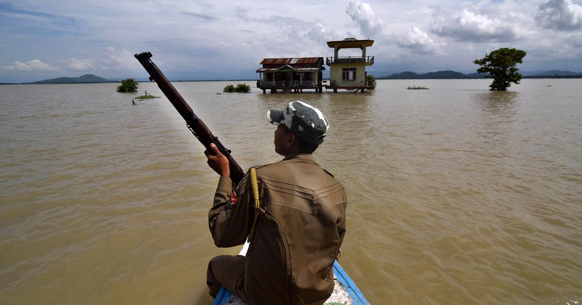 Concerns Raised Over Deployment of Forest Staff for Election Duties in Assam