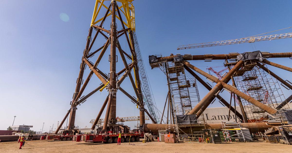 UAE's Withdrawal from OPEC: A Strategic Shift Towards US and a Strain on Saudi Relations