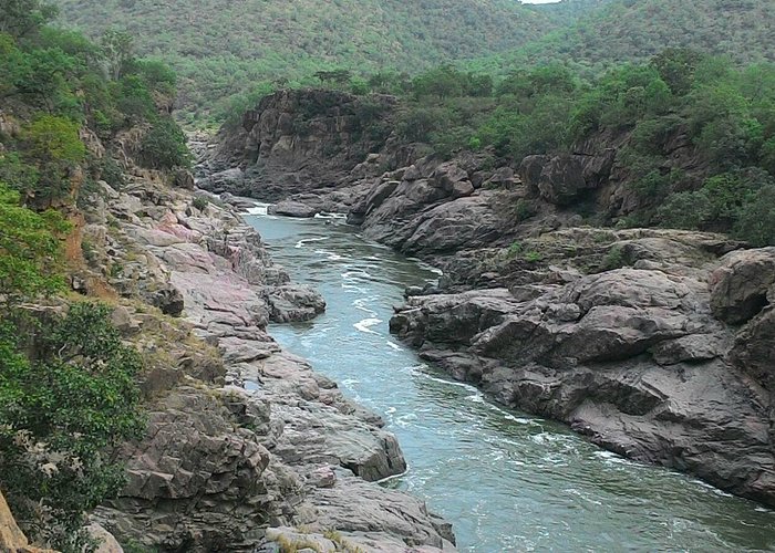 The Mekedatu Dam Dispute: A Brewing Crisis for Tamil Nadu's Water Security