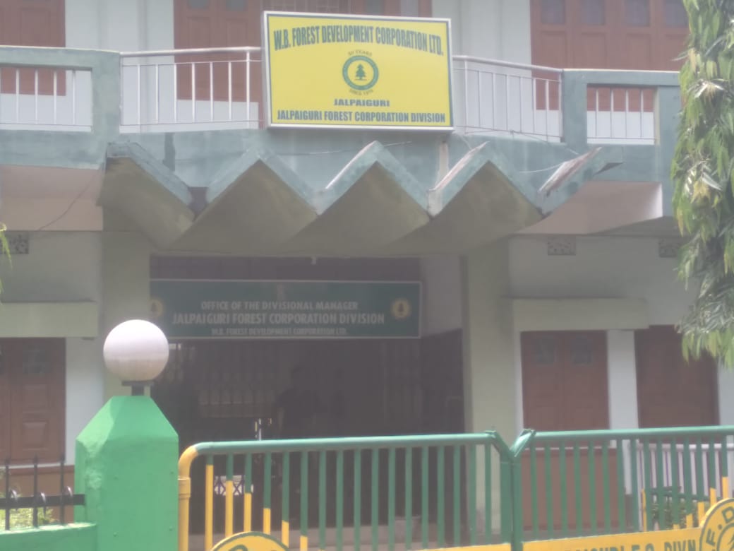 Timber Merchant Seeks Investigation into Alleged Irregularities in Forest Corporation Auctions