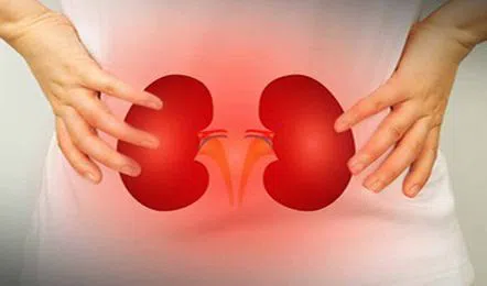 Hyderabad summer heat linked to rise in kidney stress markers: Report