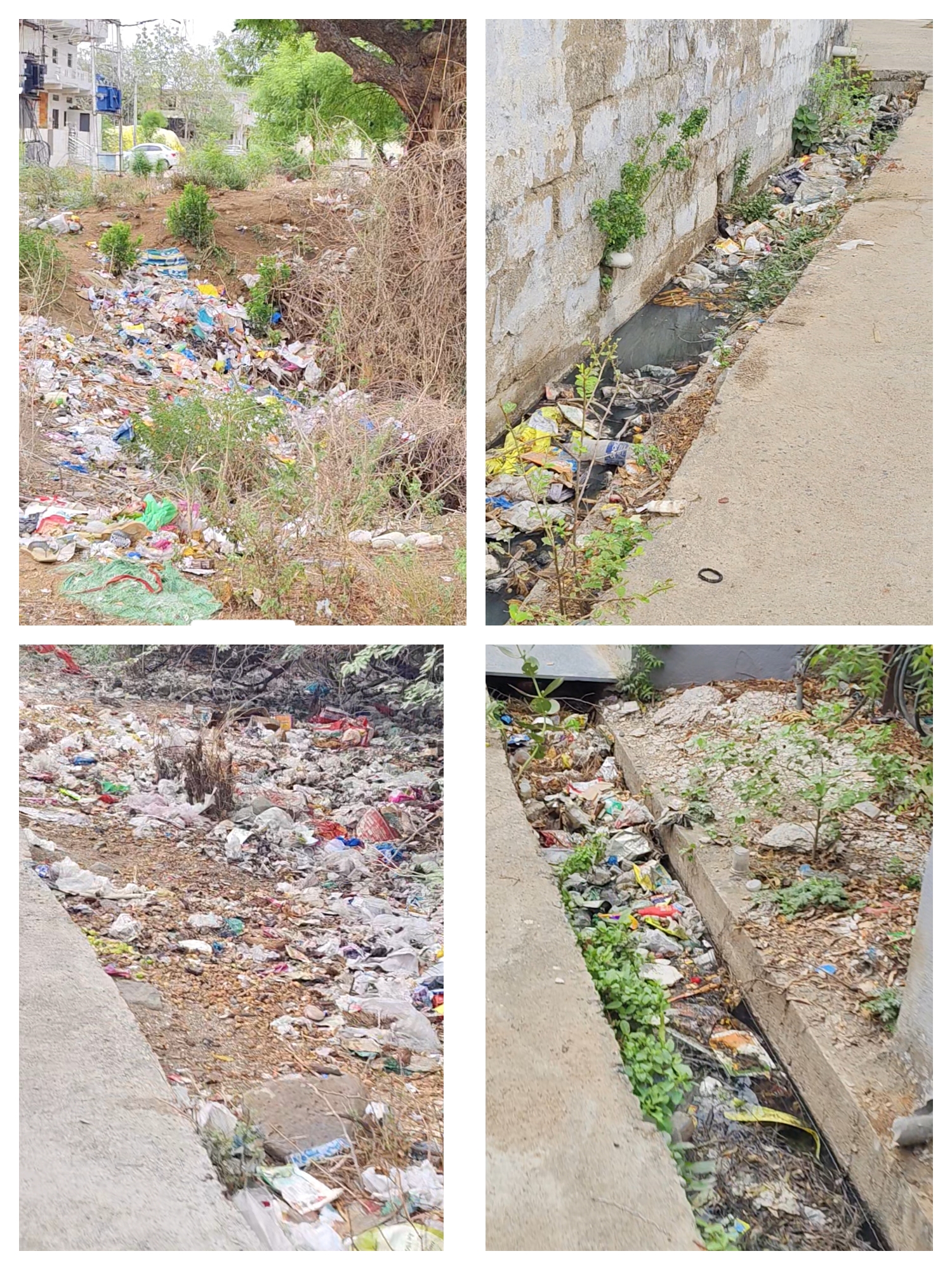 बिलोलीच्या स्वच्छतेचा बोजवारा : नगरपरिषदेच्या ‘कचरा संस्कृती’मुळे शहर रोगराई च्या विळख्यात