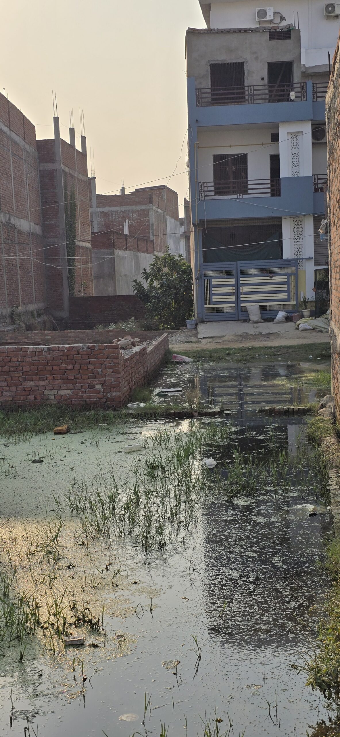बुद्धनगर, सारनाथ कॉलोनी में जलभराव की समस्या, स्थानीय निवासियों ने समाधान की मांग की