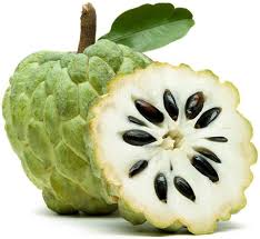 Health Benifits of Custard Apple