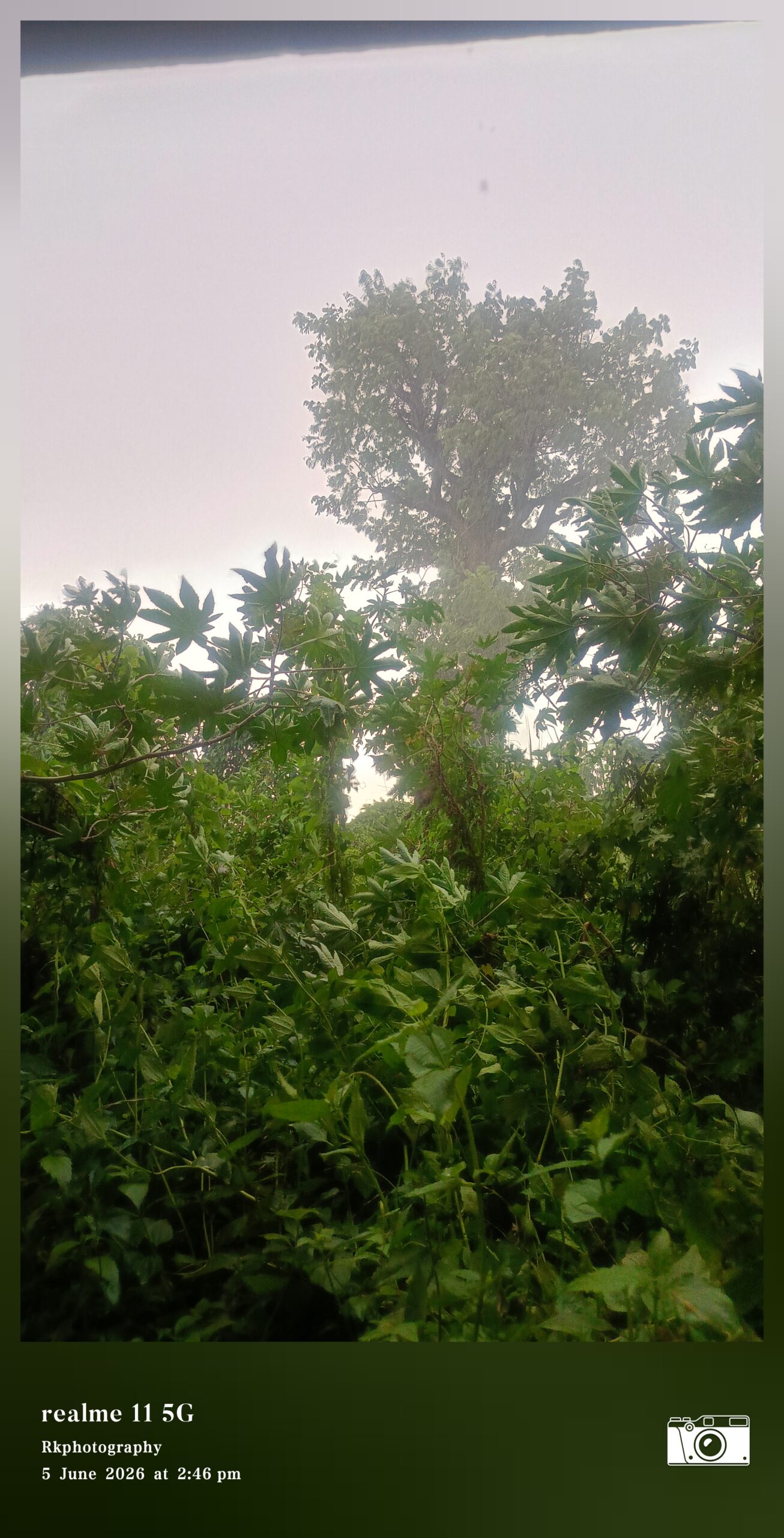 ବାରିପଦାରେ ବର୍ଷା ଯୋଗୁଁ ଗରମରୁ ମିଳିଲା ତ୍ରାହି  ମୟୂରଭଞ୍ଜ, ବାରିପଦା | ରୂପକ କୁମାରଙ୍କ ରିପୋର୍ଟ