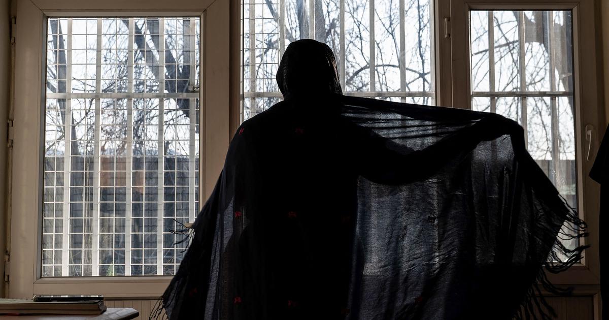 Afghan Women Academics Face Despair as Education and Employment Ban Resurfaces