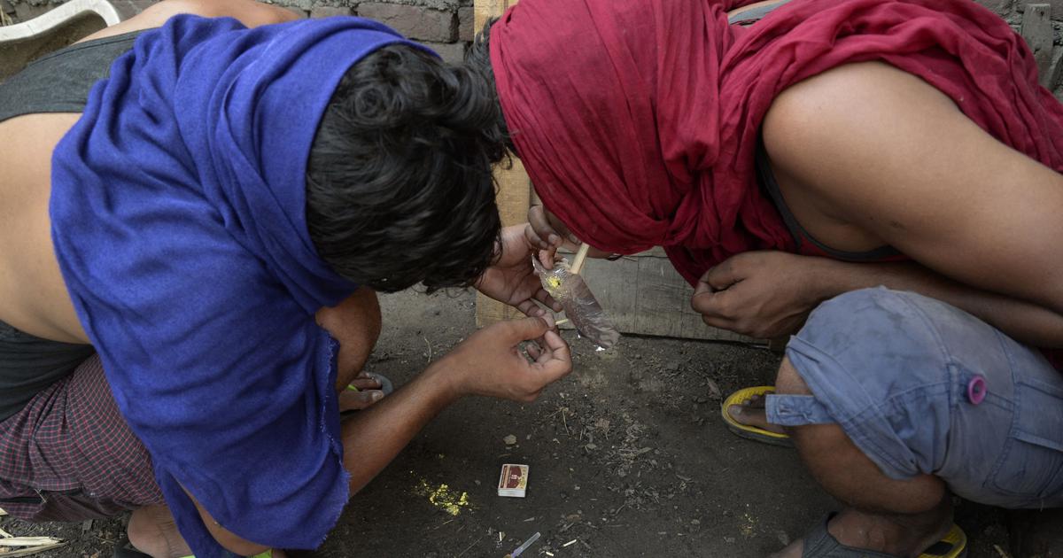 Concerns Arise Over Punjab's Drug Addiction Survey: Are We Undercounting the Crisis?