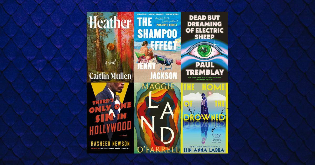 Explore the Best New Novels of June: Mid-Year Reading Picks
