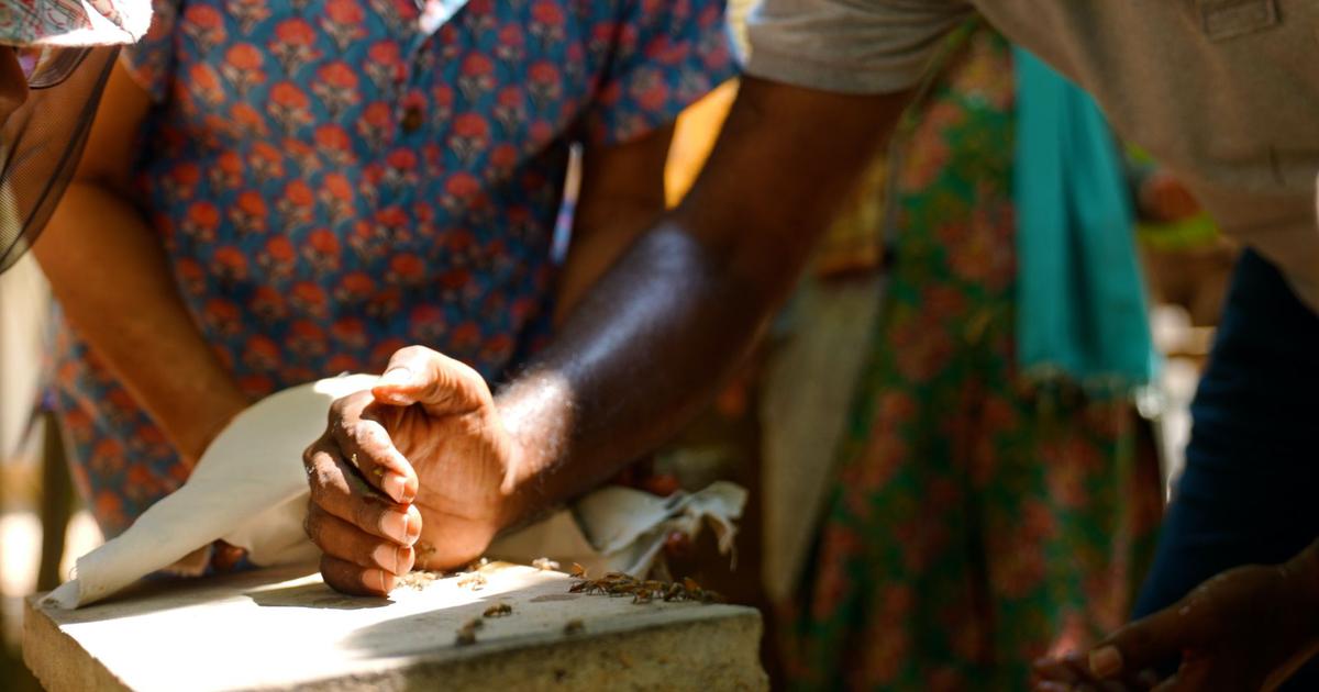 Exploring the Impact of Small Environmental Changes on India’s Ecological Challenges