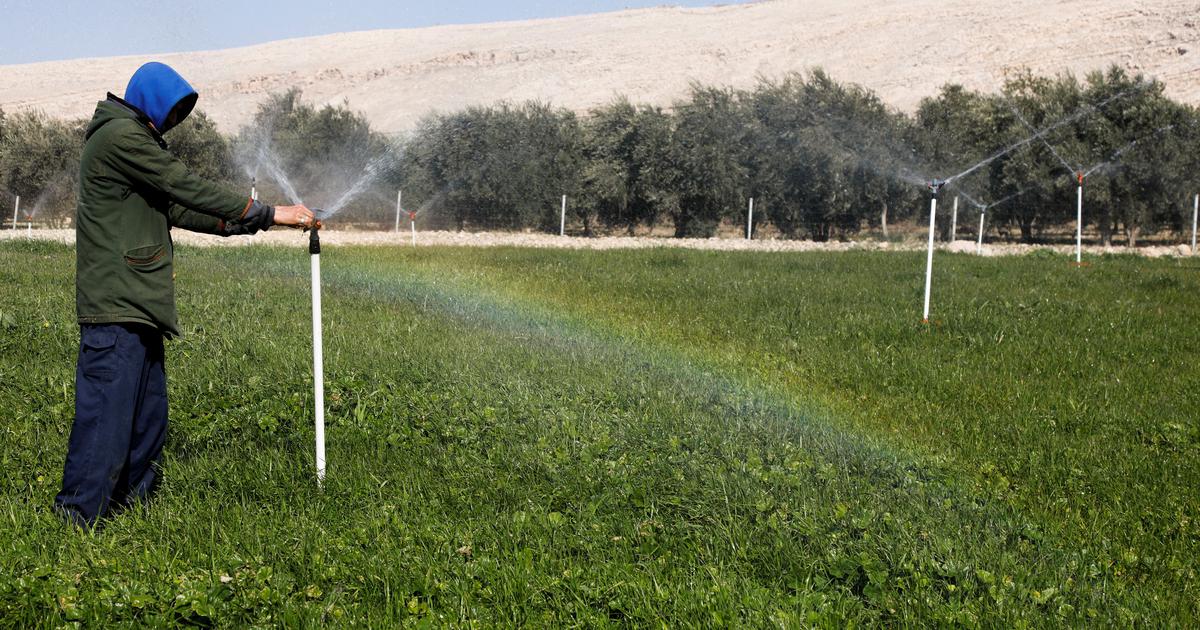 Harnessing Agrivoltaics: A Sustainable Solution for AI's Energy Demand in India