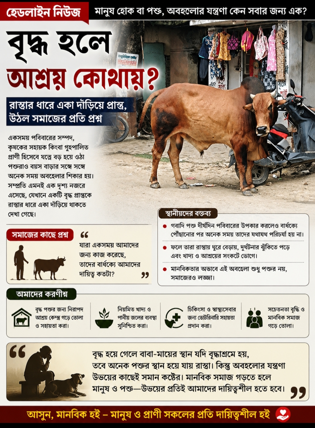 “বৃদ্ধ হলে আশ্রয় কোথায়?” — রাস্তার ধারে একা দাঁড়িয়ে থাকা একটি ষাঁড় ঘিরে মানবিকতার প্রশ্ন