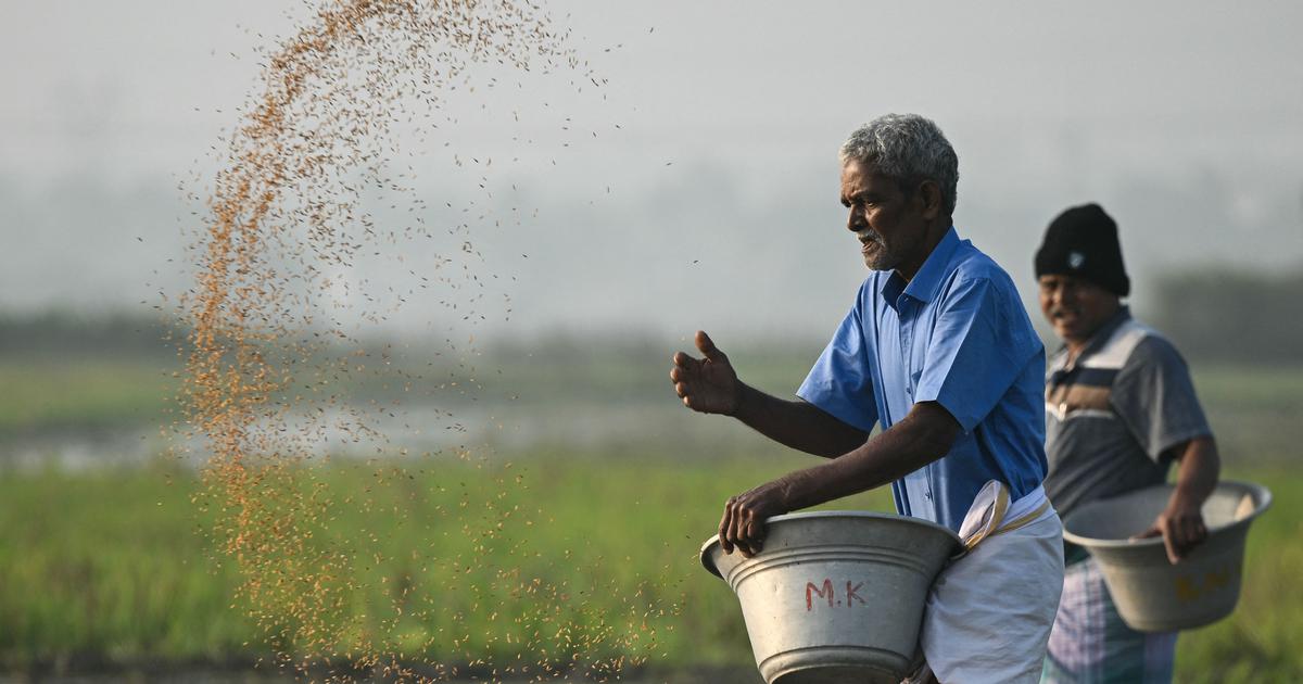 India Faces 43% Rain Deficit This Monsoon: Kharif Crop Prospects in Jeopardy