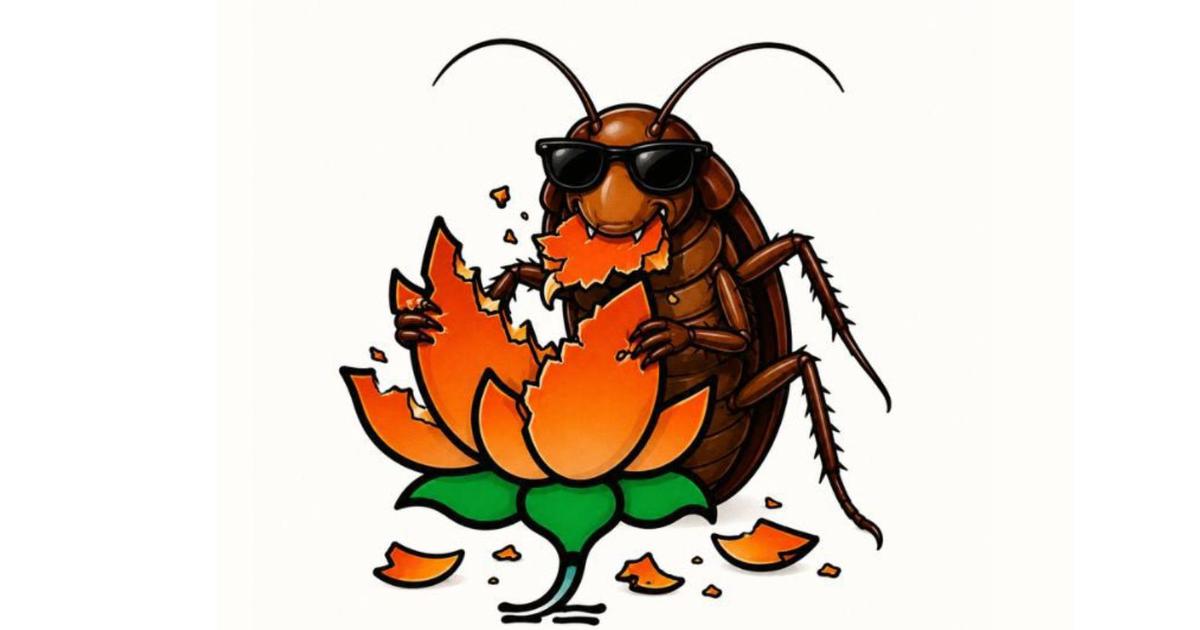 Interview: ‘Good chance that BJP will co-opt Cockroach Janta Party’s demands’