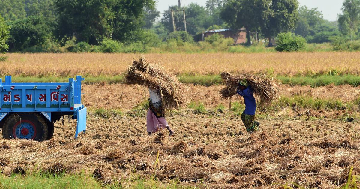 Maharashtra Government Launches Rs 36,585 Crore Farm Loan Waiver Scheme to Aid Farmers