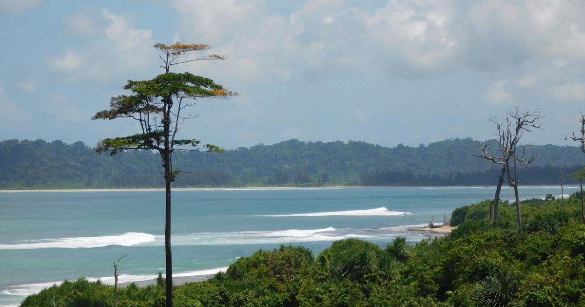Parliamentary Committee Demands Ecological Impact Report on Great Nicobar Project