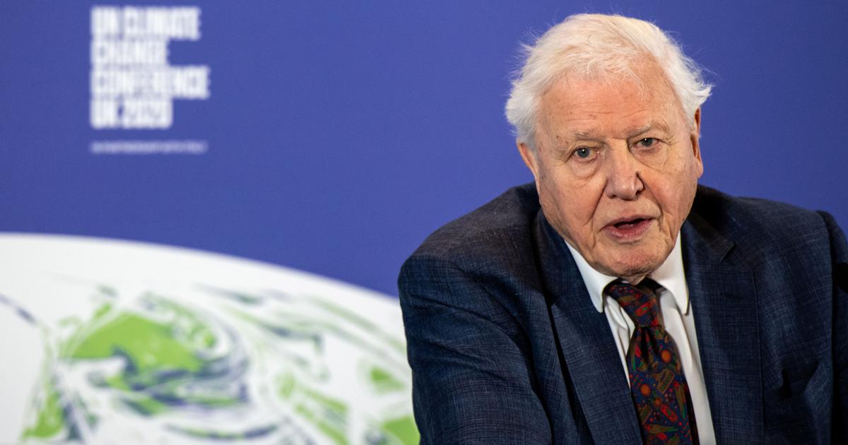 Rethinking David Attenborough's Environmental Legacy: A Call for Inclusive Narratives