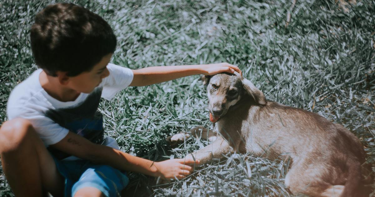 The Power of Kindness: A Heartwarming Tale from Vrindavan
