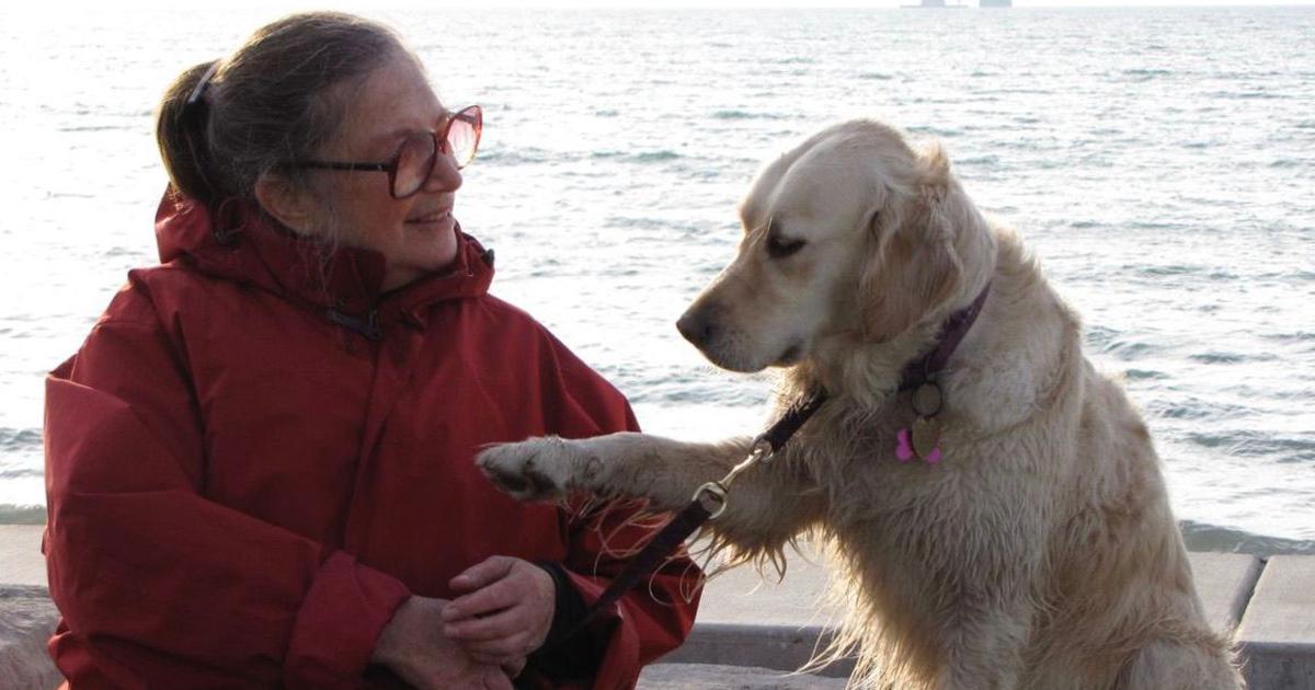 Wendy Doniger's Heartfelt Memoir: The Indispensable Role of Dogs in Her Life